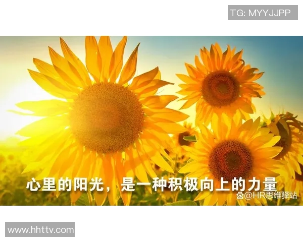 在纷繁复杂的生活中如何优雅地回到原来的位置与初心 在纷繁复杂的生活中如何优雅地回到原来的位置与初心