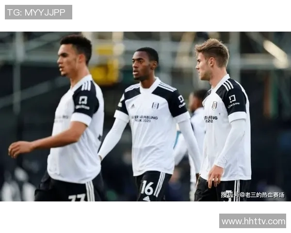 狼队与诺维奇激战正酣谁能在英超赛场上笑到最后