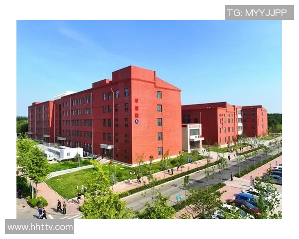 成都排球队心理素质提升之路：从训练到比赛的全方位剖析与探讨MBA